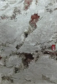 سجادة زويا  51A-كريمي×روز