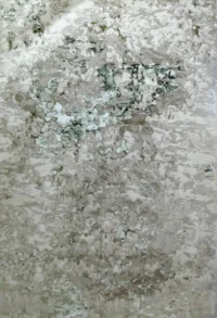 سجادة تريبولي  06B-بيج×اخضر غ