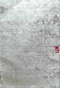 سجادة زاندر 18A-بيج×بيج غ