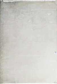 سجادة براشت شانه -41B بيج×بيج